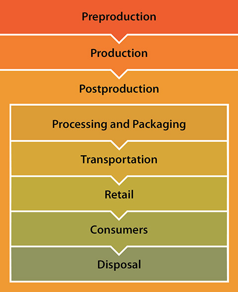 The different phases of the agricultural supply chain include pre-production; production; drying, cooling, storage; transportation; processing; retail; and disposal.