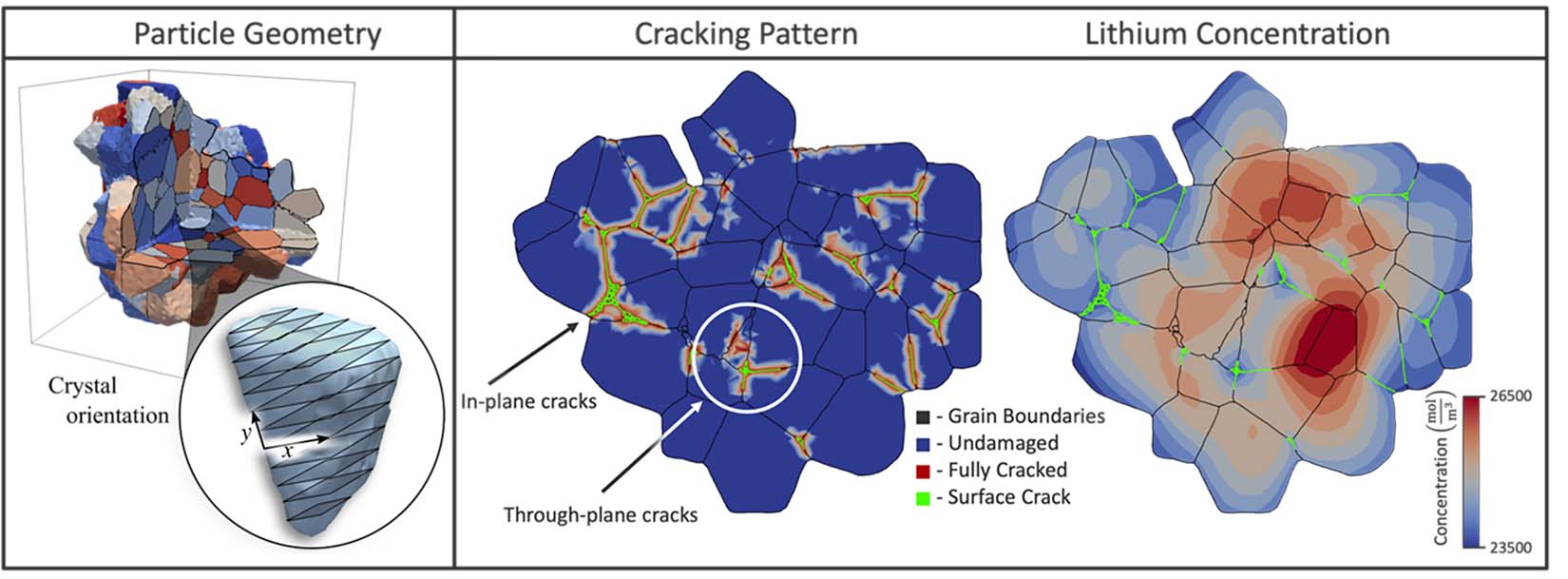 Simulations of Li-ion showing the particle geometry, including crystal orientation, cracking pattern of in-plane cracks and through-plane cracks, and lithium concentration.